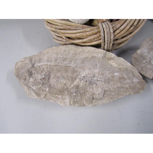 1288 - BOX OF FOSSILS AND SHELLS