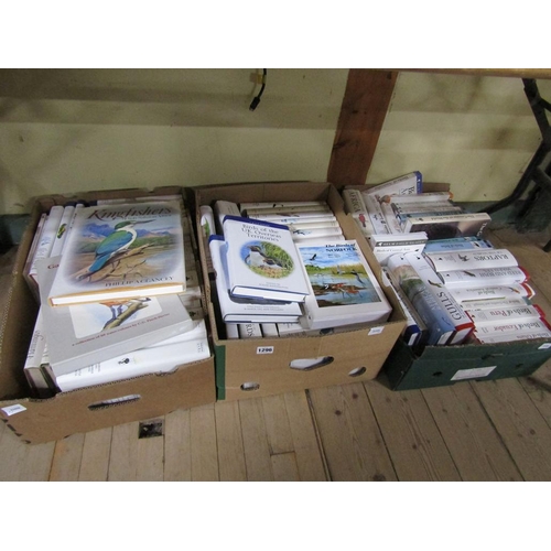 1296 - THREE BOXES OF BIRD BOOKS