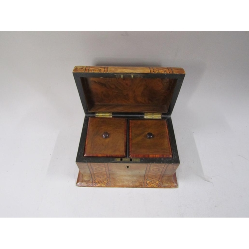 1419 - VICTORIAN BURR WALNUT AND TUNBRIDGE WARE TEA CADDY