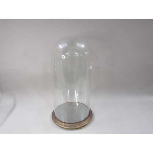 1307 - 19c LARGE GLASS DOME