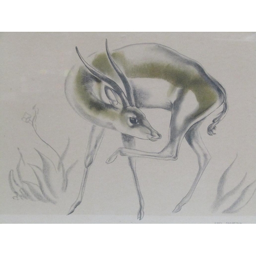 Lot 1205      