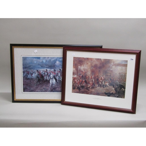 Lot 1255      