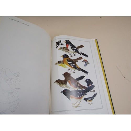 1326 - TWO BOOKS - THE FIELD GUIDE ART OF ROGER TORY PETERSON - WESTERN AND EASTERN BIRDS