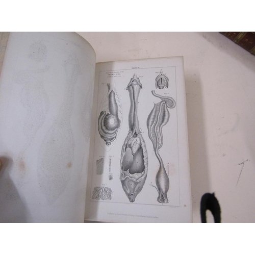 1333 - TWO BOOKS - A HISTORY OF BRITISH BIRDS BY WILLIAM MACGILLIVRAY, VOLUMES I & III