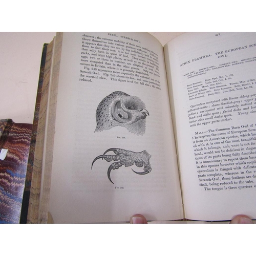 1333 - TWO BOOKS - A HISTORY OF BRITISH BIRDS BY WILLIAM MACGILLIVRAY, VOLUMES I & III