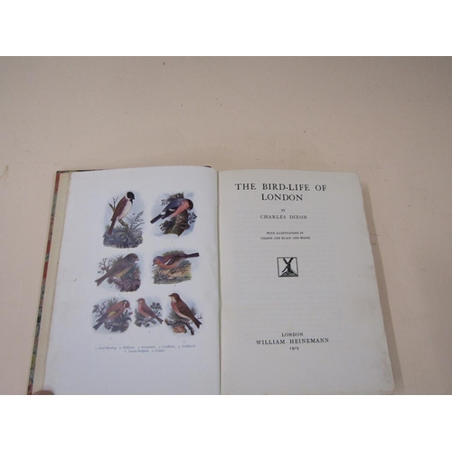1336 - THE BIRD LIFE OF LONDON BY CHARLES DIXON