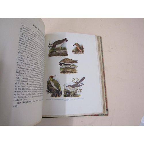 1336 - THE BIRD LIFE OF LONDON BY CHARLES DIXON