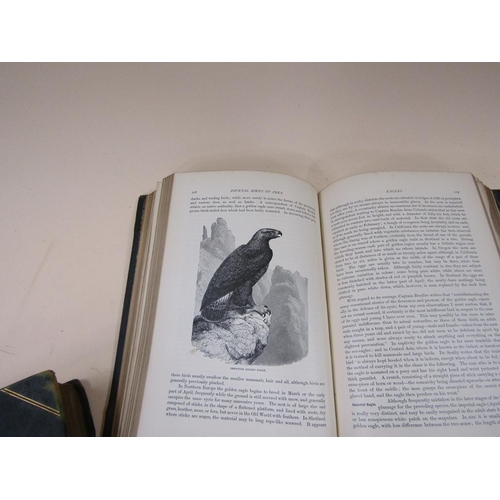 1337 - FOUR BOOKS - THE ROYAL NATURAL HISTORY VOLS. IV & V, THE CANARY ISLANDS & THE BIRDS OF SOUTH AMERICA