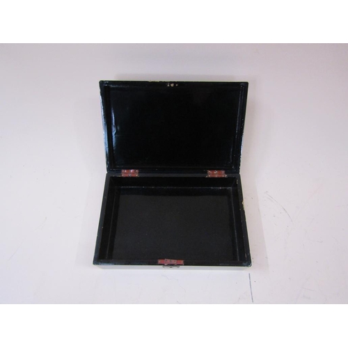 1364 - EBONISED AND CHINOISERIE PANELLED ORIENTAL BOX