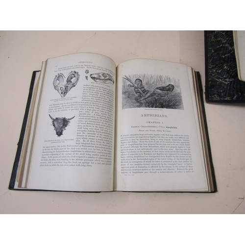 1337 - FOUR BOOKS - THE ROYAL NATURAL HISTORY VOLS. IV & V, THE CANARY ISLANDS & THE BIRDS OF SOUTH AMERICA