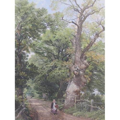 W HOLME 1869, LADY NEXT TO OLD OAK TREE SIGNED WATERCOLOUR F/G