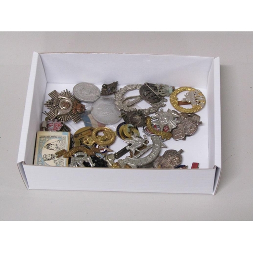 BOX OF MILITARY BADGES ETC