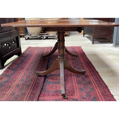 1107 - Antique English Regency mahogany twin pedestal table, with extra leaf, brass clips, approx 190 cm lo... 