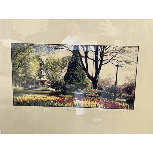 1201 - Bowral leadlight panel from Merrigang St Bowral along with a Bowral Tulip Time photo, panel approx 3... 