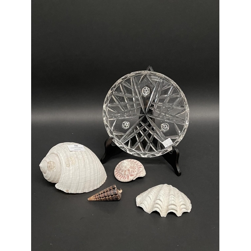 166 - Crystal tray with four sea shells, approx 22cm dia & smaller