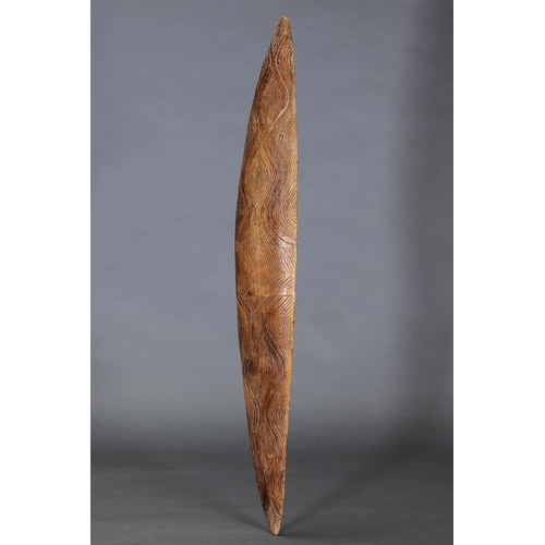 1000 - FINE LARGE NARROW SHIELD, YALATA, SOUTH AUSTRALIA, carved and engraved hardwood (with custom stand) ... 