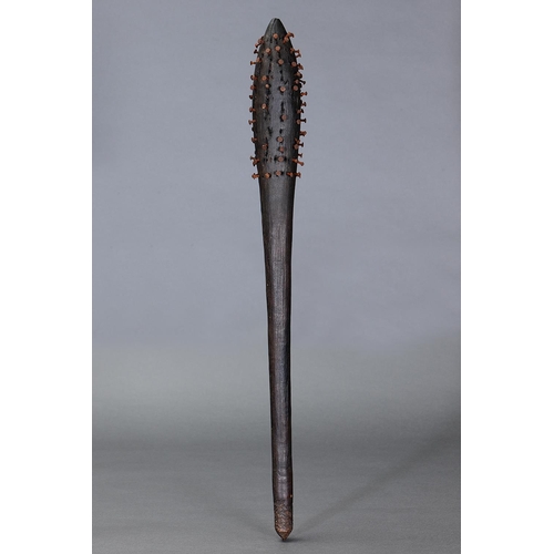 1006 - FINE NAIL-HEADED FIGHTING CLUB, NORTH-EAST QUEENSLAND, Carved and engraved hardwood with hobnails (w... 