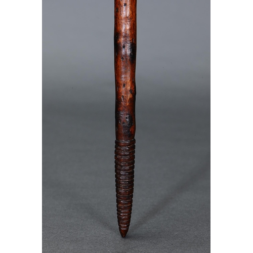 1017 - FINE EARLY INCISED BULBOUS CLUB, VICTORIA, Carved and engraved hardwood (no custom stand) This is an... 