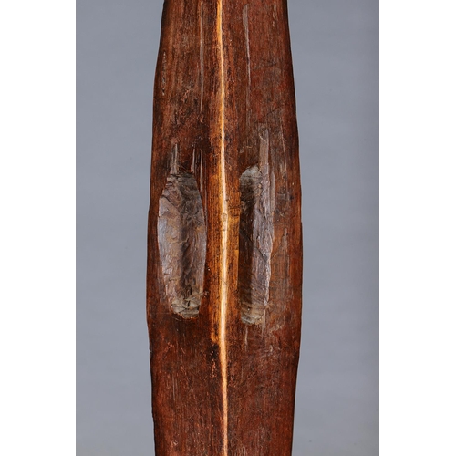 1026 - LARGE NARROW SHIELD, SOUTHEAST AUSTRALIA, Carved and engraved hardwood (no custom stand) Carved in h... 