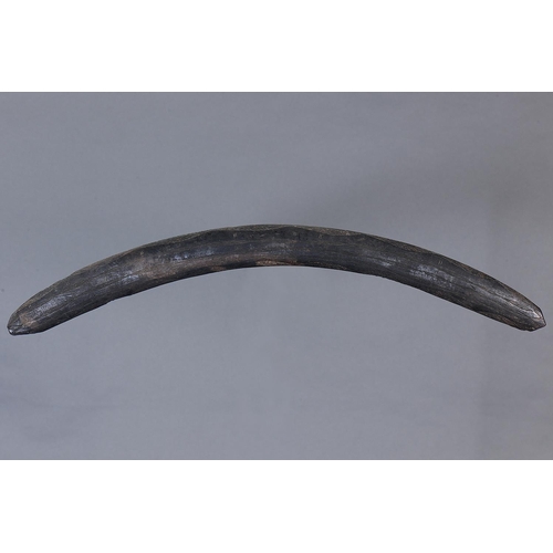 1028 - FINE EARLY ENGRAVED BOOMERANG, WESTERN NEW SOUTH WALES / SOUTHERN QUEENSLAND, Carved and engraved ha... 
