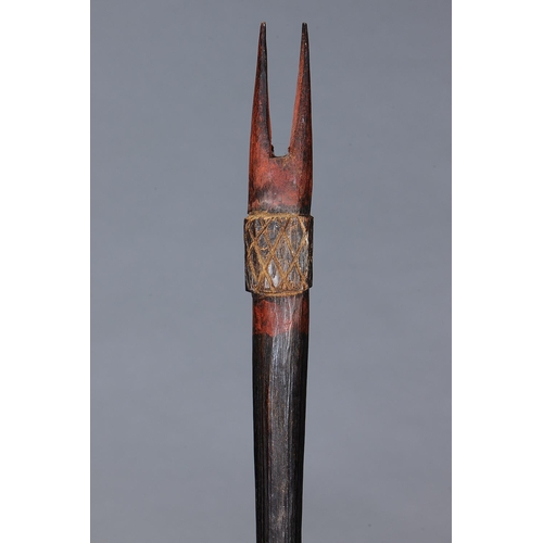 1065 - RARE FINE FIGHTING CLUB, ROCKHAMPTON DISTRICT, QUEENSLANDS, Carved and engraved hardwood with natura... 