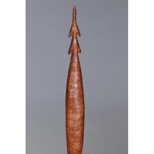 1066 - RARE STABBING WADDY, WESTERN VICTORIA, Carved and engraved hardwood (with custom stand) Approx L70.5... 