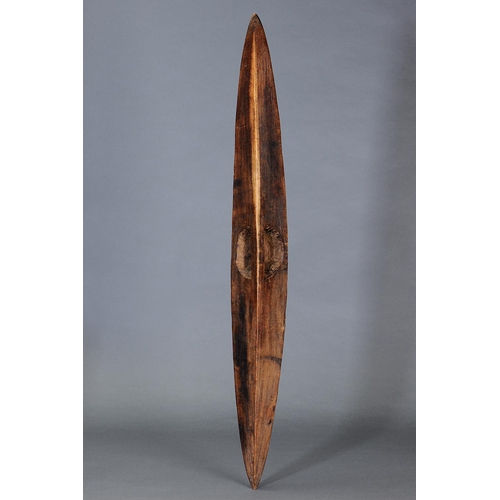 1071 - LARGE NARROW SHIELD, SOUTHEAST AUSTRALIA, Carved and engraved hardwood (no custom stand) Carved in h... 