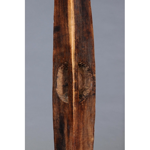 1071 - LARGE NARROW SHIELD, SOUTHEAST AUSTRALIA, Carved and engraved hardwood (no custom stand) Carved in h... 