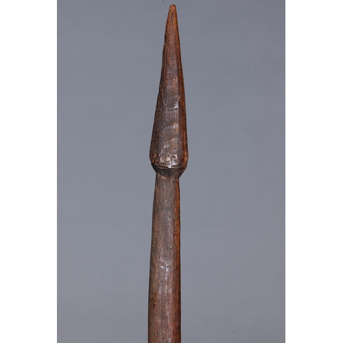1077 - EARLY THROWING CLUB, CONDAH LAKES, VICTORIA, Carved and engraved hardwood (with custom stand) The cu... 