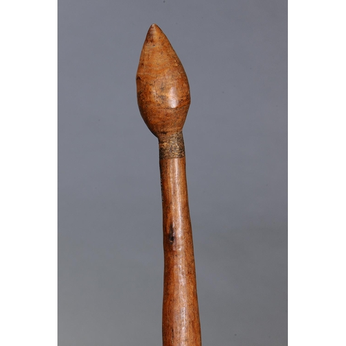 1081 - FINE EARLY THROWING CLUB, VICTORIA, Carved and engraved hardwood (with custom stand) The curving sha... 
