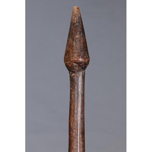 1084 - EARLY LARGE THROWING CLUB, SOUTH EASTERN AUSTRALIA, Carved and engraved hardwood (with custom stand)... 