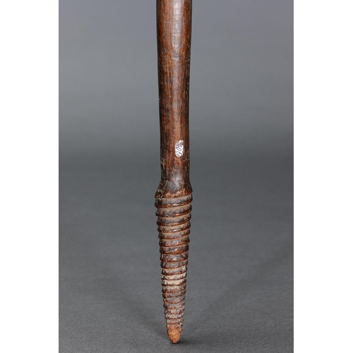 1084 - EARLY LARGE THROWING CLUB, SOUTH EASTERN AUSTRALIA, Carved and engraved hardwood (with custom stand)... 