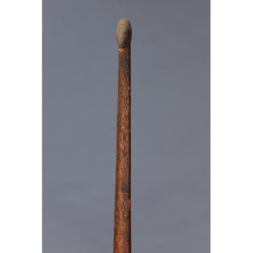 1187 - EARLY LARGE SPEAR THROWER (WOOMERA), KIMBERLEY REGION, WESTERN AUSTRALIA, Carved wood and spinifex r... 