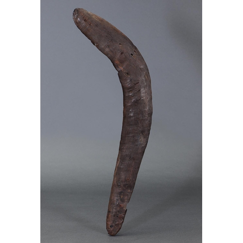 1198 - EARLY BOOMERANG, NULLARBOR PLAIN, SOUTHERN AUSTRALIA, Carved hardwood (no custom stand) Approx L56 x... 