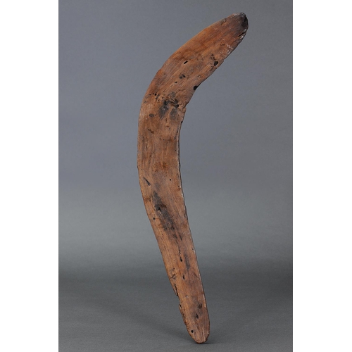 1198 - EARLY BOOMERANG, NULLARBOR PLAIN, SOUTHERN AUSTRALIA, Carved hardwood (no custom stand) Approx L56 x... 