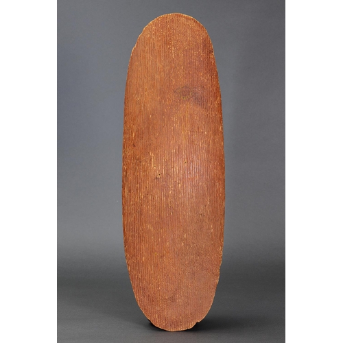 1202 - FINE EARLY SHIELD, CENTRAL AUSTRALIA, NORTHERN TERRITORY, Carved beanwood and natural pigments (with... 