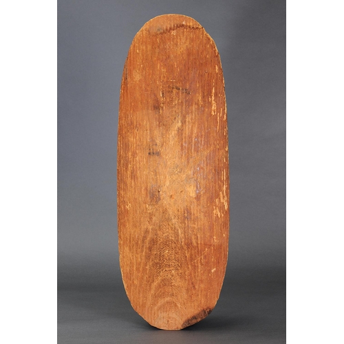 1203 - EARLY MASSIVE SHIELD, CENTRAL AUSTRALIA, NORTHERN TERRITORY, Carved beanwood and natural pigments (w... 