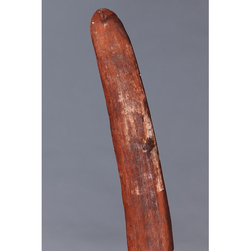 1209 - BOOMERANG, EASTERN ARNHEM LAND, NORTHERN TERRITORY, Carved hardwood and natural pigments (with custo... 