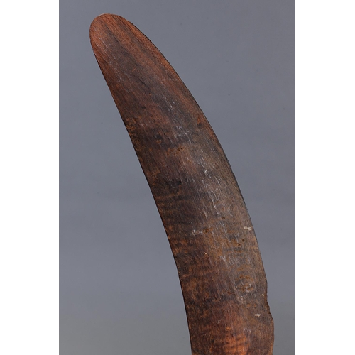 1211 - ADZED WESTERN DESERT BOOMERANG, WESTERN AUSTRALIA, Carved hardwood (with custom stand) Of plano-conv... 