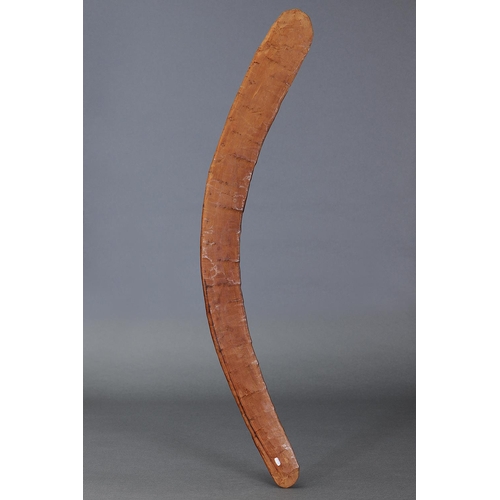 1214 - BOOMERANG, SOUTH EAST AUSTRALIAN, Carved hardwood (with custom stand) Of bi-convex section with ribb... 