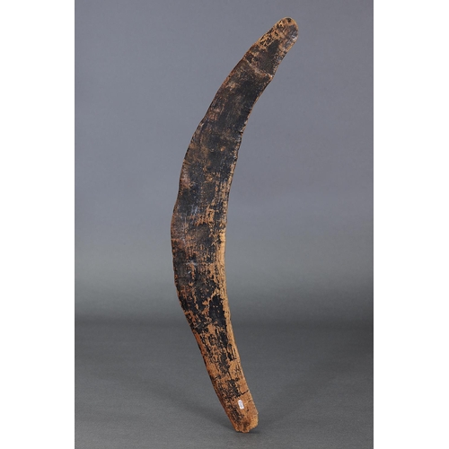 1228 - RARE EARLY BOOMERANG, VICTORIA, Carved hardwood (with custom stand) Of thin bi-convex section with r... 