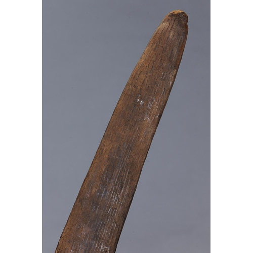 1248 - EARLY BOOMERANG CLUB, COOPERS CREEK REGION, SOUTH AUSTRALIA, Carved and engraved hardwood (with cust... 