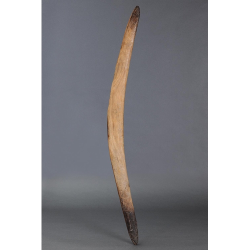 1253 - BOOMERANG CLUB, COOPERS CREEK REGION, SOUTH AUSTRALIA, Carved hardwood (with custom stand) Approx L8... 