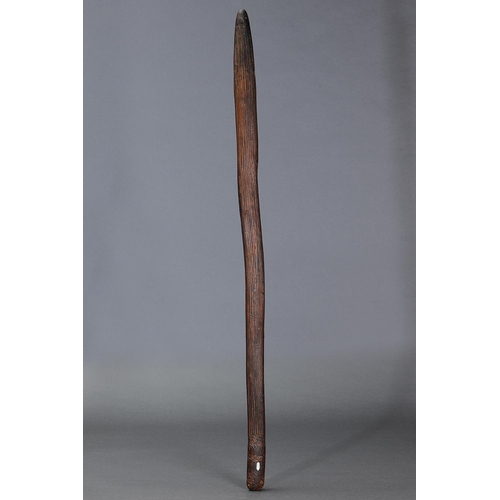 1255 - EARLY LARGE FIGHTING CLUB, SOUTH AUSTRALIA, Carved and engraved hardwood (with custom stand) Decorat... 
