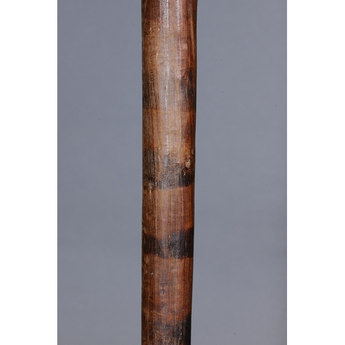 1257 - EARLY MASSIVE POLE CLUB, NORTHERN TERRITORY, Carved and engraved hardwood and natural pigments (with... 