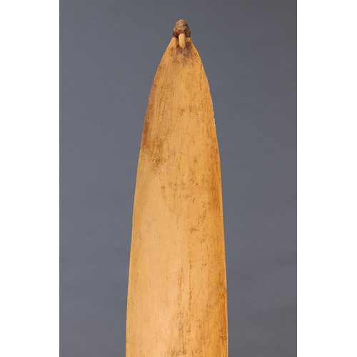 1268 - SPEAR THROWER (WOOMERA), CENTRAL AUSTRALIA, NORTHERN TERRITORY, Carved hardwood, spinifex resin and ... 