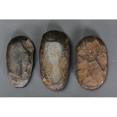 1278 - THREE EARLY STONE IMPLEMENTS, GIPPSLAND, VICTORIA, Carved stone (no custom stands) Ground-edged hatc... 