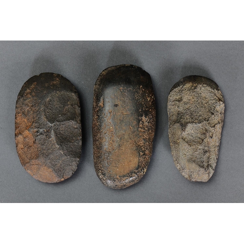 1278 - THREE EARLY STONE IMPLEMENTS, GIPPSLAND, VICTORIA, Carved stone (no custom stands) Ground-edged hatc... 
