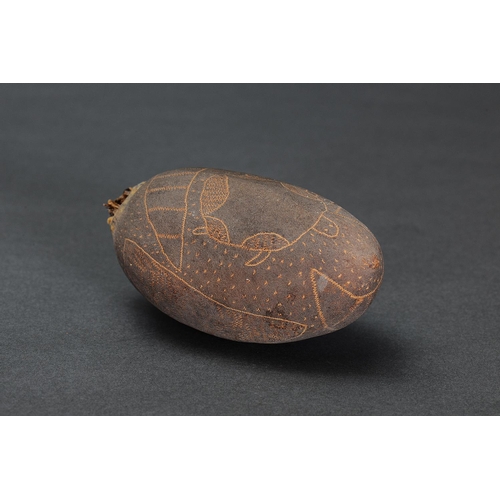 1286 - EARLY INCISED BOAB NUT, WESTERN AUSTRALIA, Carved boab nut (no custom stand) Boab nut with incised r... 