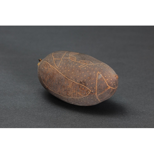 1286 - EARLY INCISED BOAB NUT, WESTERN AUSTRALIA, Carved boab nut (no custom stand) Boab nut with incised r... 
